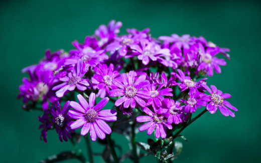 527403 (a): :2560x1600